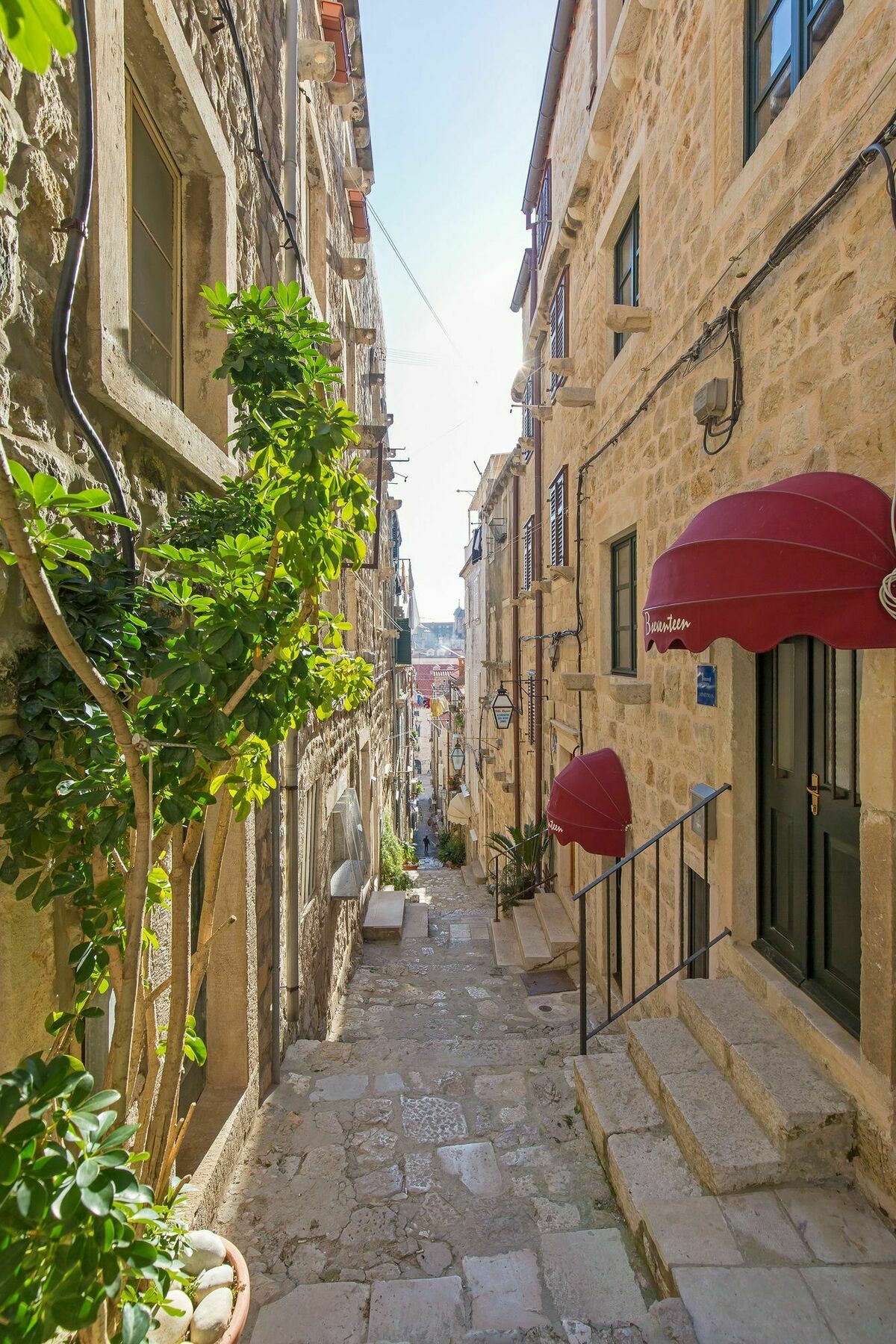 Apartments And Room Le Petit Nono Ντουμπρόβνικ Εξωτερικό φωτογραφία